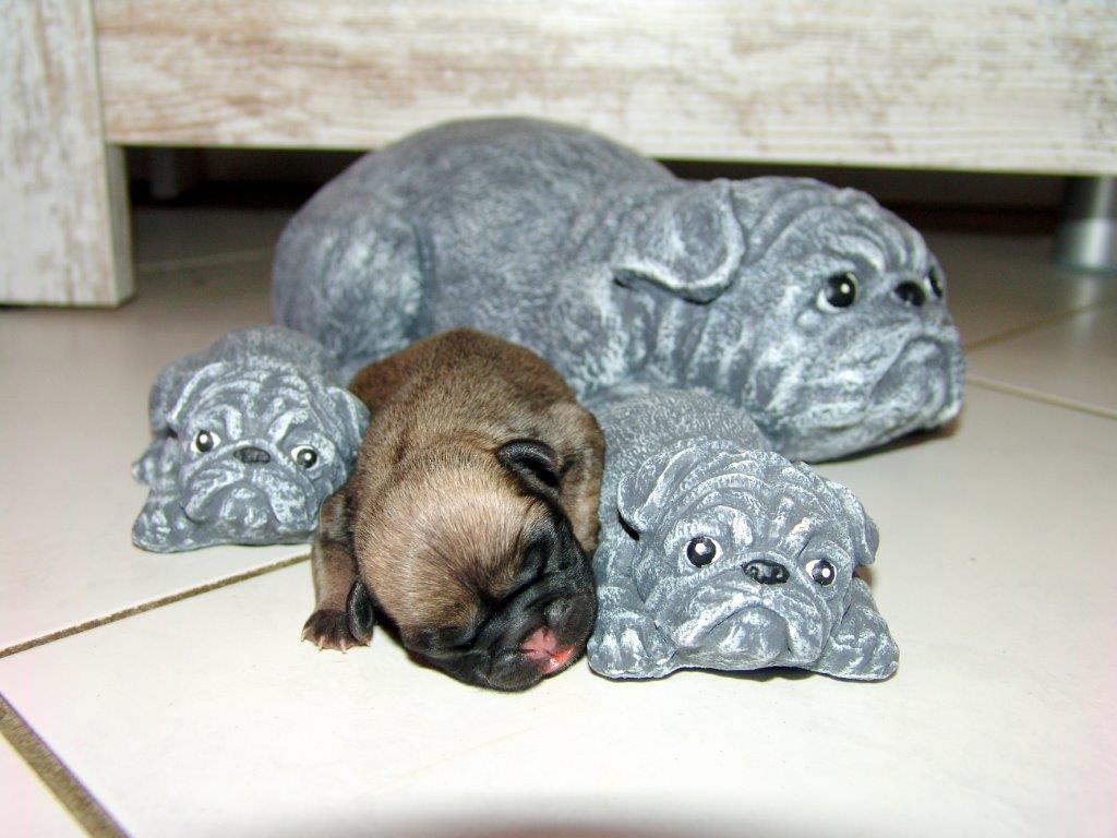 Jungs und Mädels alles dabei